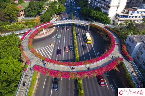 廣州立體綠化經驗：立交橋還可以這么玩