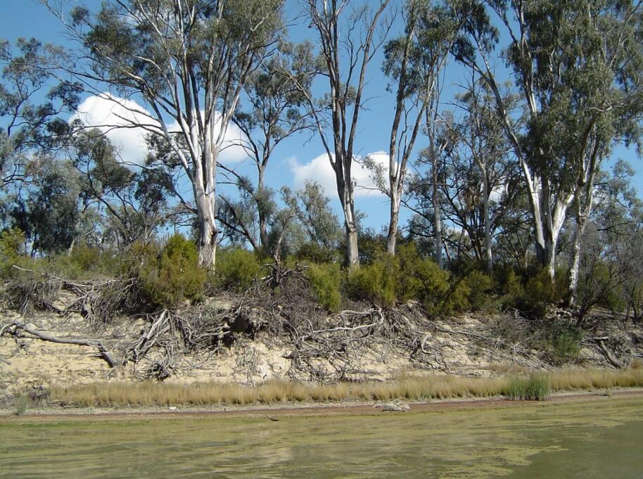 包滿珠:城市建設(shè)與屬地自然生態(tài)系統(tǒng)的保護(hù)