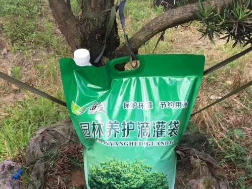 浙江金華一苗農(nóng)研制出移動園林養(yǎng)護(hù)滴灌袋