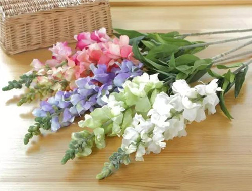 插花花材，你應該這樣挑