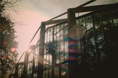 慵懶陽光下的植物溫室 沐浴在陽光下的呼吸