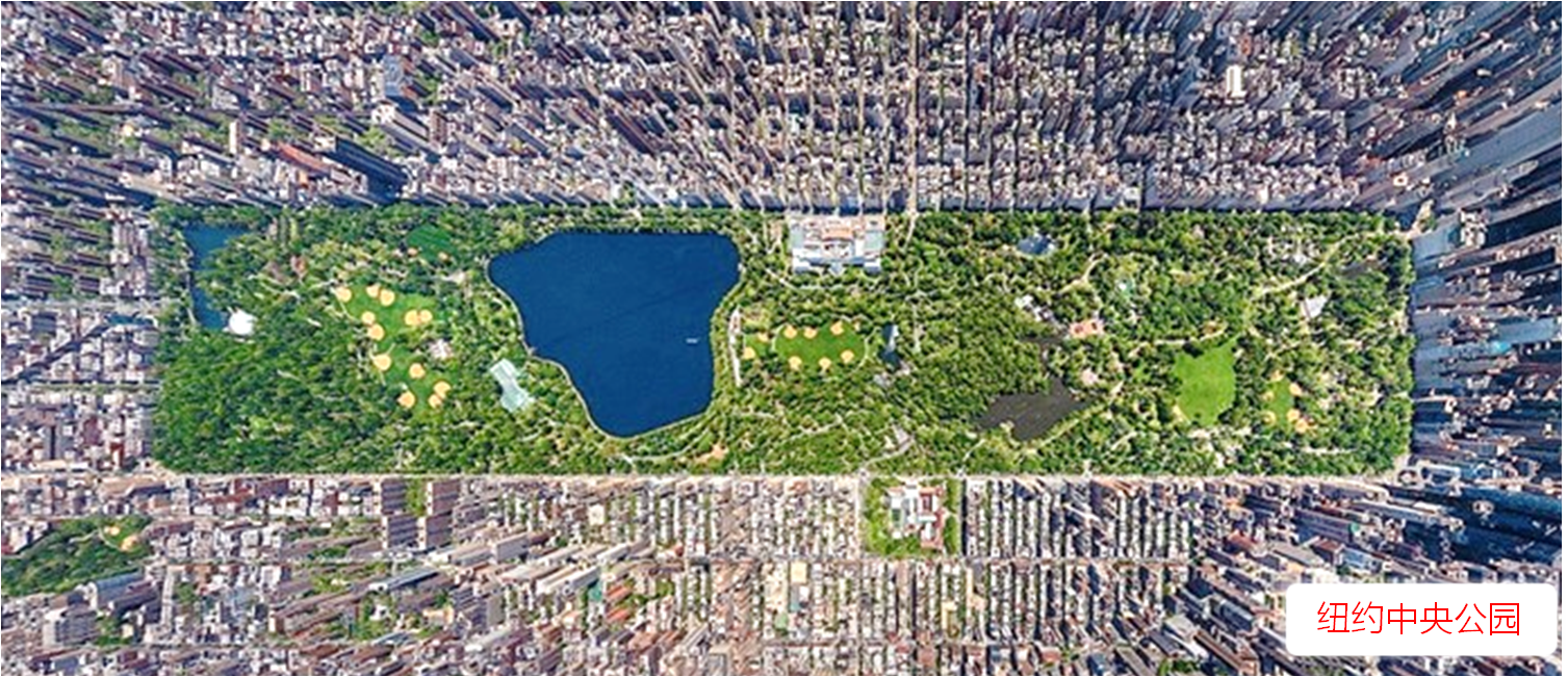 鄭占峰:園林中生活,風景中居住