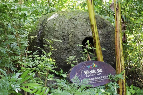  雨林谷：一個原生態(tài)的熱帶雨林植物的王國
