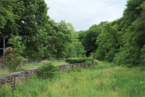 工業遺址改造:美國帕特森大瀑布森林公園