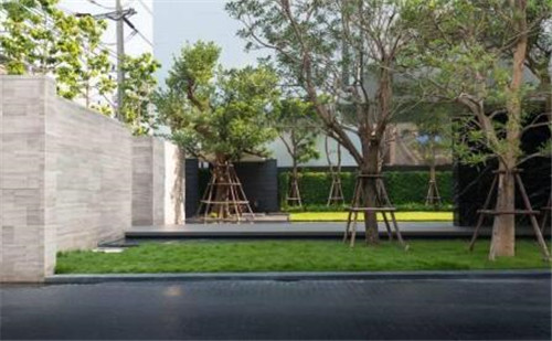 LAB設計事務所作品:HQ Thonglor住宅景觀