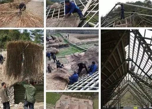 八個最美的中國鄉村改造創意