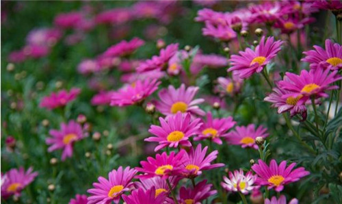 旅游攻略之麗江：束河古鎮