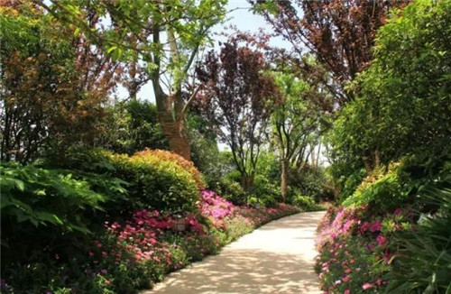 如何管理現場施工保證景觀設計效果成功落地