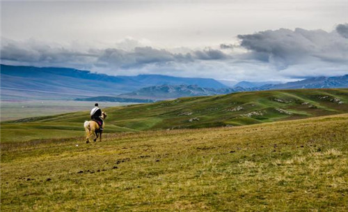 中國(guó)最美濕地巴音布魯克，空中草原那拉提