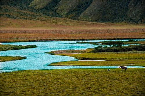 中國(guó)最美濕地巴音布魯克,空中草原那拉提