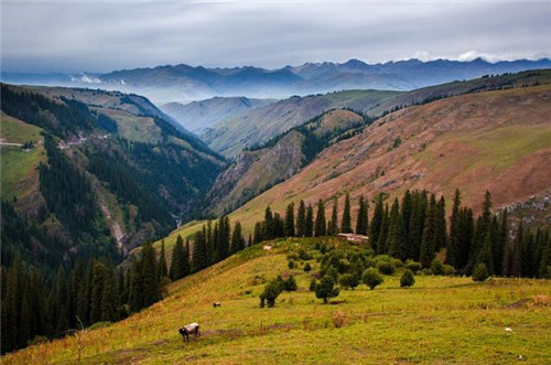 中國(guó)最美濕地巴音布魯克,空中草原那拉提