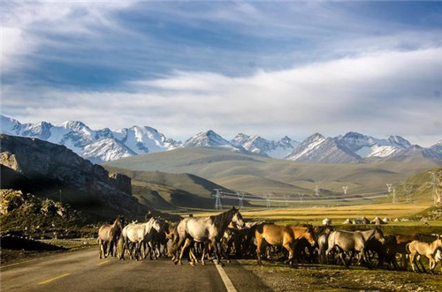 中國(guó)最美濕地巴音布魯克,空中草原那拉提