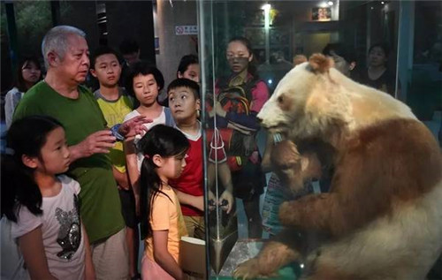 大熊貓國家公園真是太大了