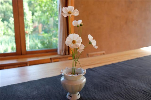 插花是一場審美的修行