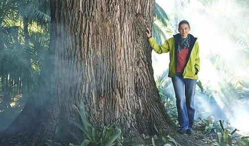 植物有隱藏的記憶？