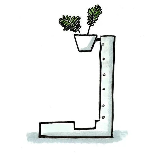 植物有隱藏的記憶？