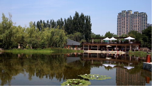 園冶杯專業獎:鴻坤·鳳凰城示范區設計