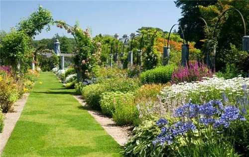 花境：打造天然植物之美