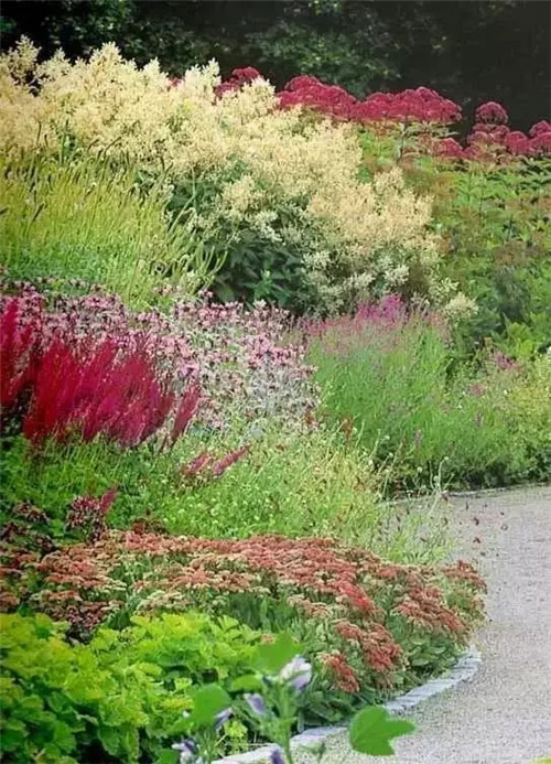 花境：打造天然植物之美