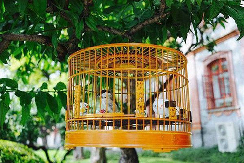 中國的四合院，才是真正的豪宅！