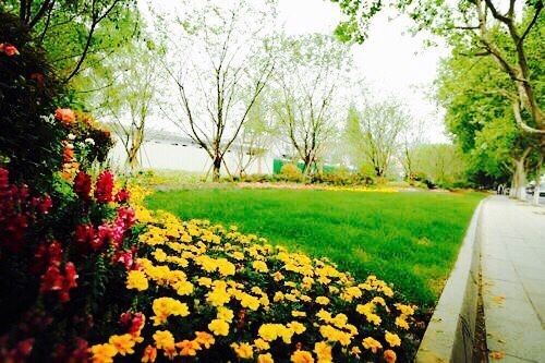 園冶杯專業獎:莫干山路綜合整治工程