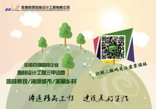 意景園林總部屋頂花園吸引“海綿”愛好者