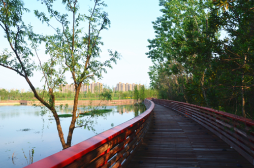 園冶杯專業獎:安慶康熙河景觀工程