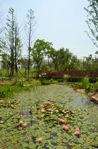 園冶杯專業獎:安慶康熙河景觀工程