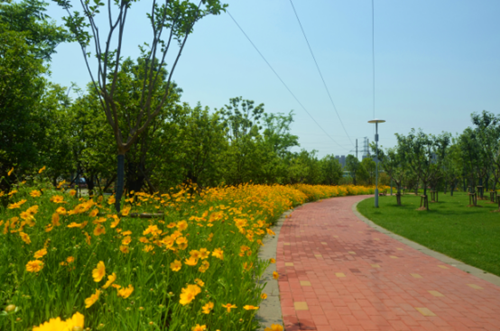 園冶杯專業獎:安慶康熙河景觀工程