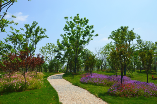 園冶杯專業獎:安慶康熙河景觀工程