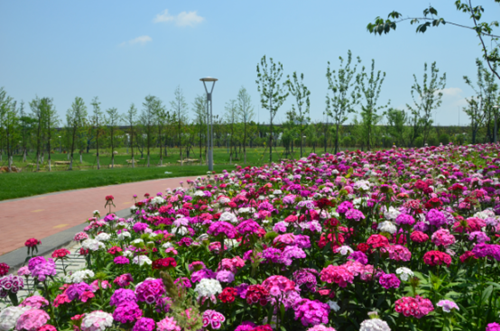 園冶杯專業獎:安慶康熙河景觀工程