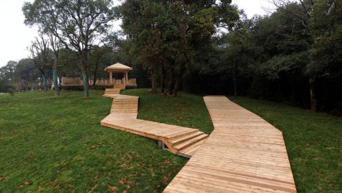 園冶杯專業獎:金溪縣香樟森林公園景觀設計