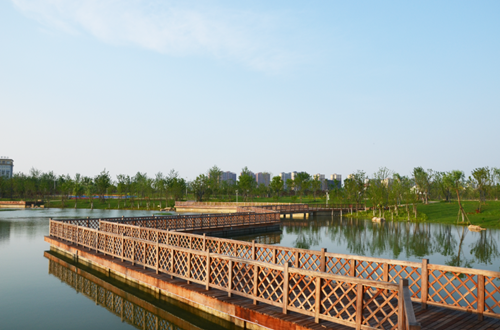 園冶杯專業獎:安慶康熙河景觀工程