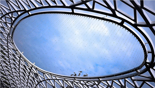 園冶杯專業(yè)獎:第十一屆中國園博會上海慧園