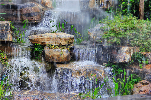 園冶杯專業(yè)獎:第十一屆中國園博會上海慧園