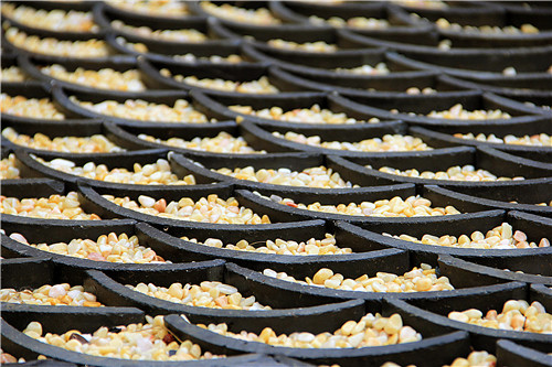 園冶杯專業(yè)獎:第十一屆中國園博會上海慧園