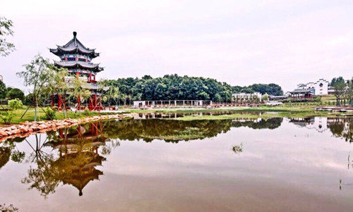 園冶杯專業獎:金溪縣香樟森林公園景觀設計