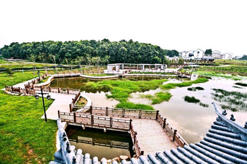 園冶杯專業獎:金溪縣香樟森林公園景觀設計