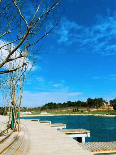 園冶杯專業獎:金溪縣香樟森林公園景觀設計