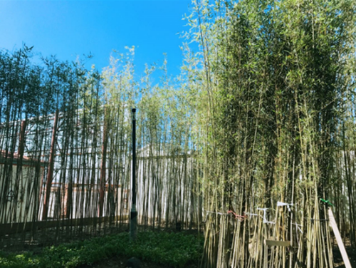 園冶杯專業獎:天津譽峰園園林景觀工程