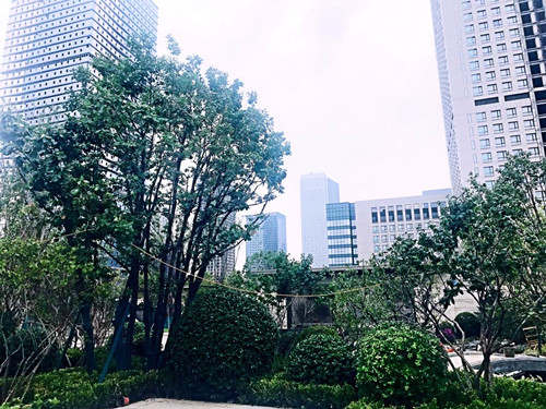 園冶杯專業獎:天津譽峰園園林景觀工程