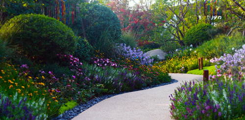 園冶杯專業獎:天津團泊鴻坤理想城景觀設計