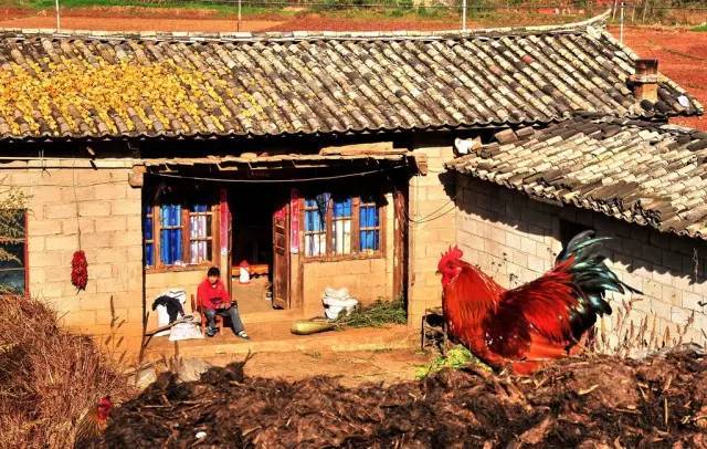 鄉村公共空間打造助推美麗鄉村建設