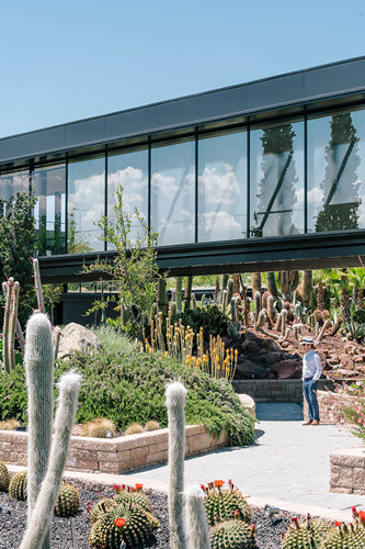 廢棄荒地變仙人掌花園——西班牙“沙漠之城”