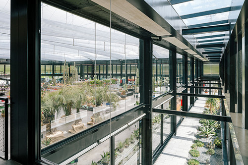 廢棄荒地變仙人掌花園——西班牙“沙漠之城”