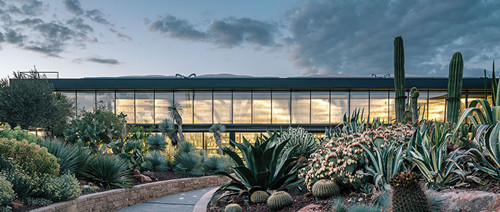 廢棄荒地變仙人掌花園——西班牙“沙漠之城”