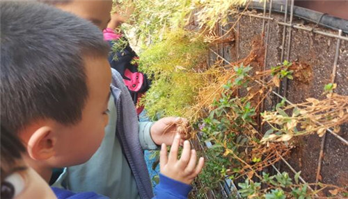 根植快樂認知和體驗的環境設計：幼兒園改造