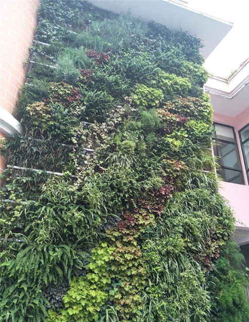 根植快樂認知和體驗的環境設計：幼兒園改造