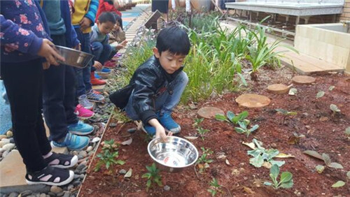 根植快樂認知和體驗的環境設計：幼兒園改造