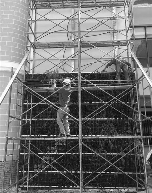 根植快樂認知和體驗的環境設計：幼兒園改造